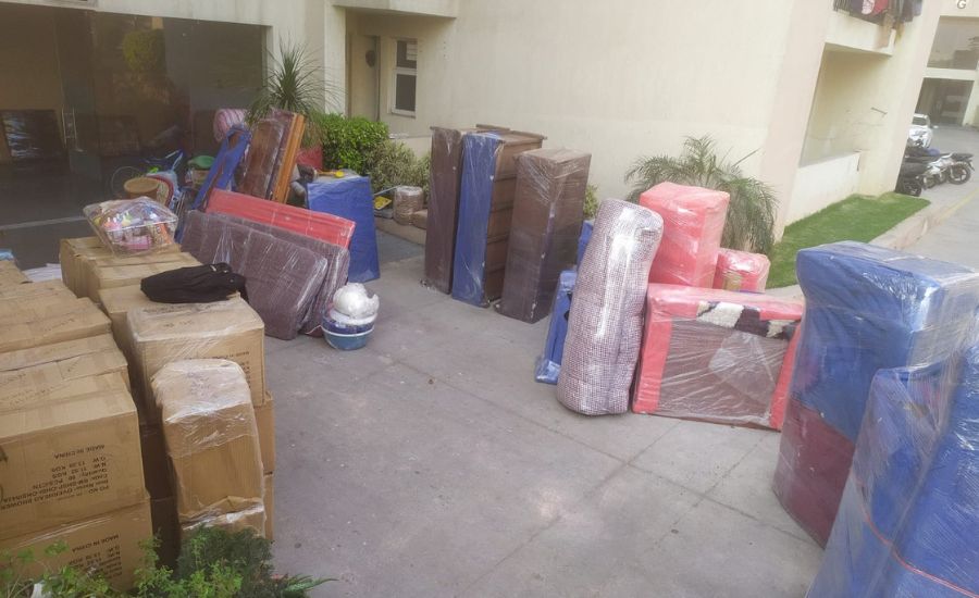 Untitled design (70)