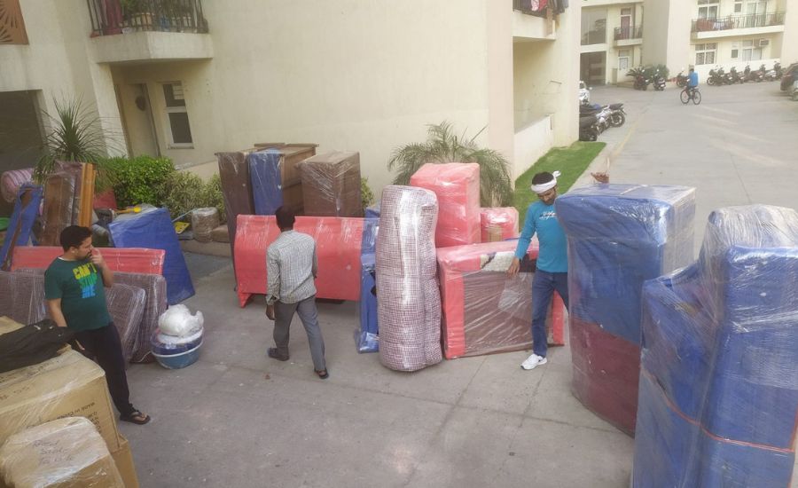 Untitled design (73)